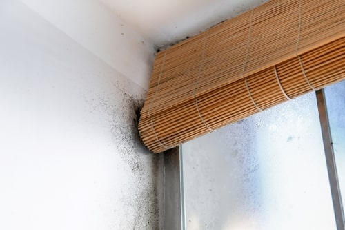 Does Duct Cleaning Prevent Health Problems?