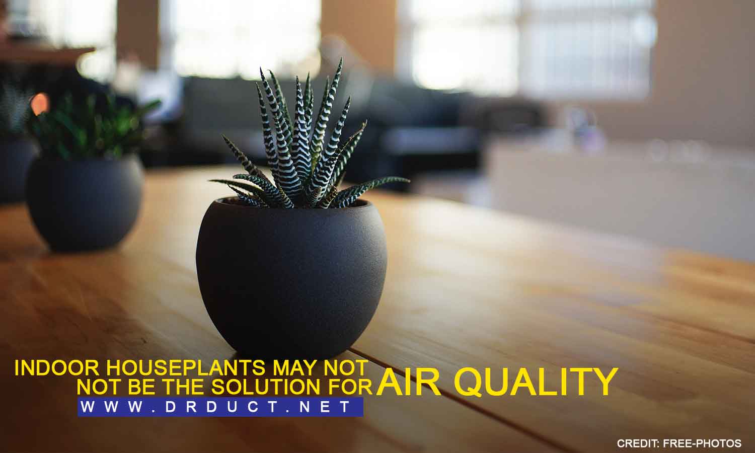 Indoor houseplants may not be the solution for air quality.